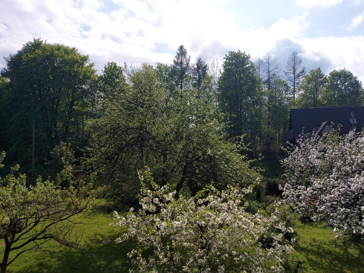 Apartament Bolek I Apartament Lolek Zakopane Luaran gambar